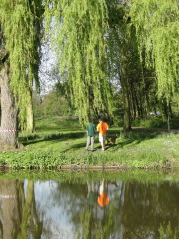 koninginnedag 2012 057.jpg